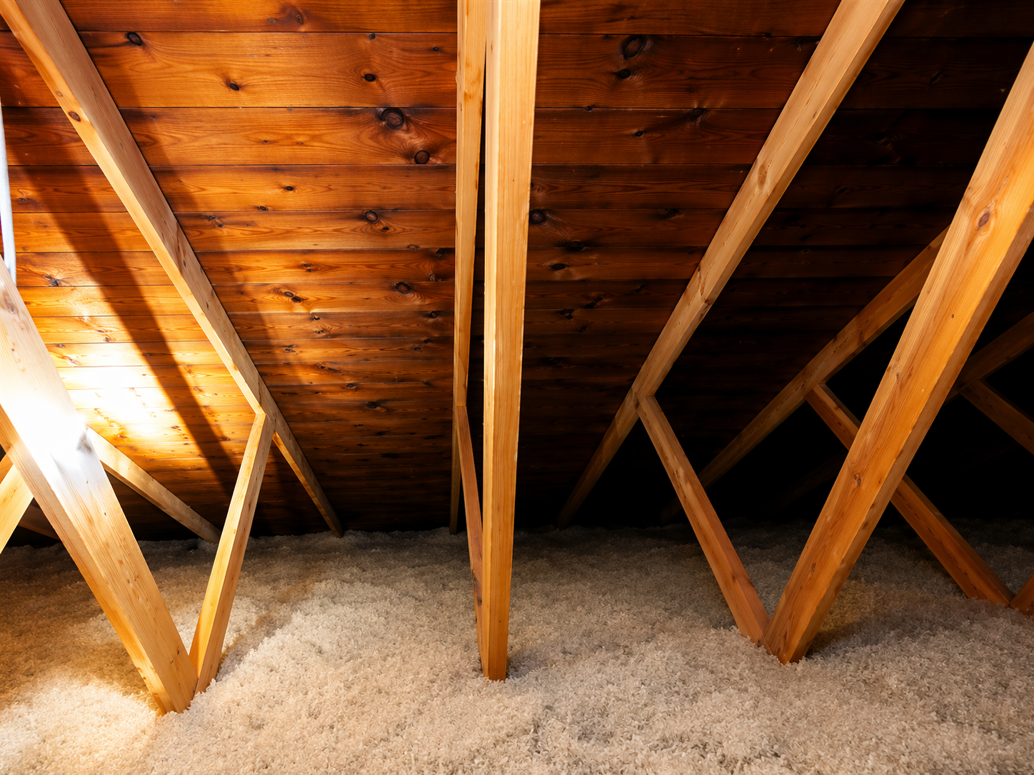 Albert Lea attic inspection — rafters and insulation evaluated with a flashlight
